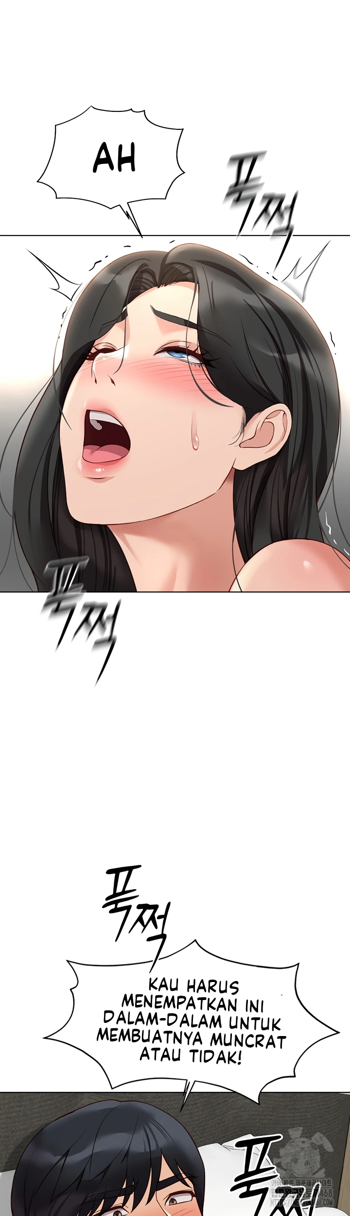 Common Sense Manipulation Program - Page 38